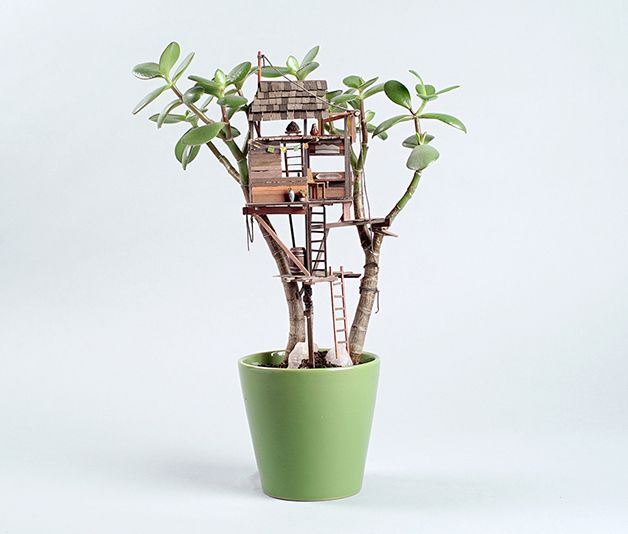 jedediah-corwyn-voltz-somewhere-small-succulent-and-cacti-treehouses-designboom-01