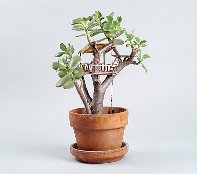 jedediah-corwyn-voltz-somewhere-small-succulent-and-cacti-treehouses-designboom-03
